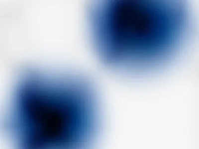 Microscope 2d animation after effects animation art clean color contemporary displacement fashion gradient grunge minimal modern motion science streetwear swiss