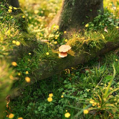 Magic Hour 3d art b3d blender blender3d design forest illustration mushroom tree