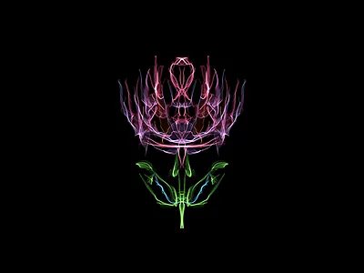 盛放 blossom illustration weavesilk