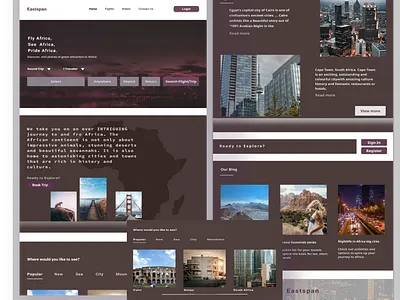 Travel Website (Pride Africa) colors design figma landing page ui uiux web design