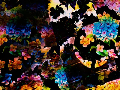 Secret Garden bright cameron houseman colour floral floral art floral design floral pattern flower illustration flowers garden ikebana ikebana pattern iowa city mesamoonmagic pattern patterns seattle