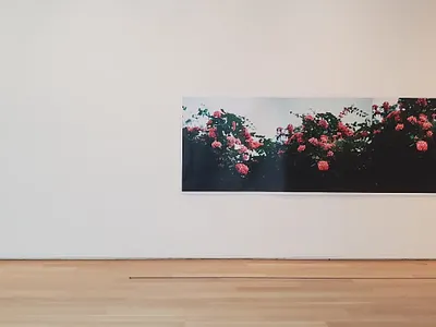 Chicago artic cameron houseman chicago graphic design iowa city mesamoonmagic museum photography seattle the art institute of chicago