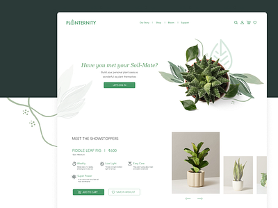 Web UI for Plants design ideas illustration inspiration minimal nature nature website plant website ui ui ux user interface