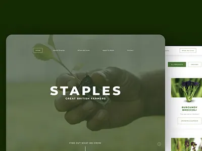 Staples Vegetables Website app bradning clean dev development logo minimal mobile organic professional smart staples ui ux vegetables web website white xd