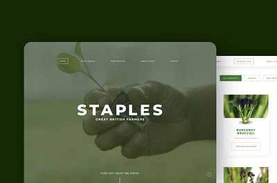 Staples Vegetables Website app bradning clean dev development logo minimal mobile organic professional smart staples ui ux vegetables web website white xd