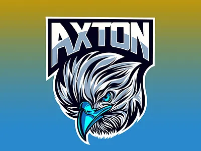 Eagle Logo Esport 2d badas cartoon custom customlogo design discord eagle esport facebook graphicdesign illustration logo logoesport logos streamers twitch twitchlogo twitchlogos youtube