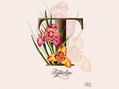 T. Tigridia. alphabet botanica botanical calligraphy design digital illustration exotic floral flower graphic design handlettering letter lettering pink procreate art realistic tigridia typography yellow