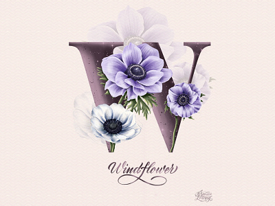 W. Windflower. alphabet anemone botanica botanical calligraphy design digital illustration floral flower graphic design greeting card handlettering illustration lettering plant procreate art purple realistic typography windflower