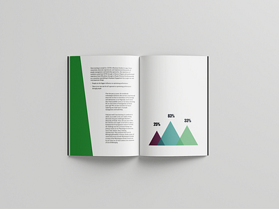 Book Design & Infographic Styling | Ben Birchall book design brand design brand identity brand personality brand positioning branding design graphic design identity design illustration infographic design