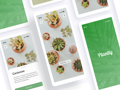 Plant Scan Mobile App Design app dailyui design figma graphic design mobile plant scan ui ux