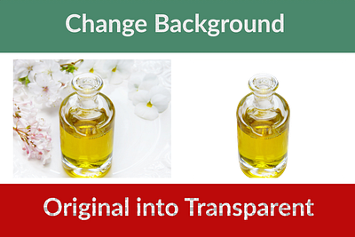 Background Removal adobe photoshop beauty retouch catalog change background clipping path color correction cut out design graphic design image resize logo removal remove background restoration transparent white background