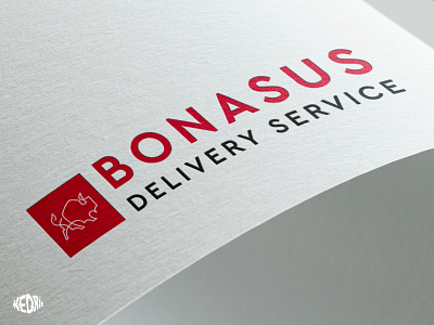 Logo BONASUS branding design illustration logo typography vector