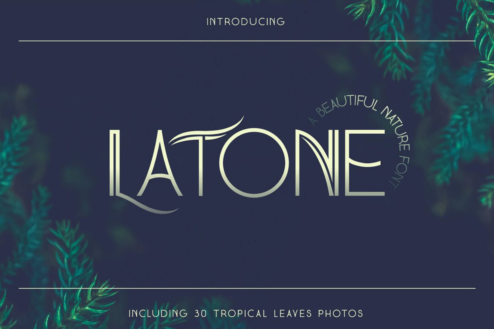 Latone Display Font app branding design display display font font graphic design illustration logo serif typography ui ux vector