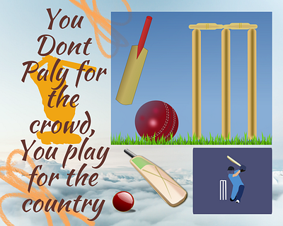 You play for the country cricket pakistan play sports sportsman