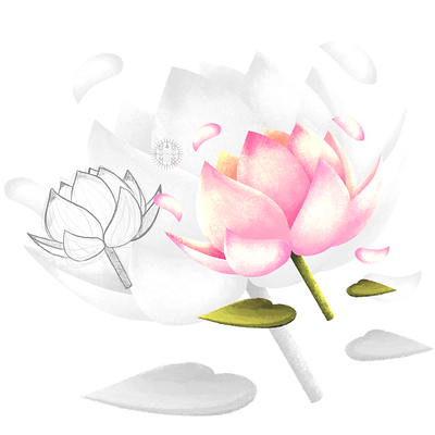 Lotus Icon Design art design icon design illustration illustrator logo procreate raster illustration ui