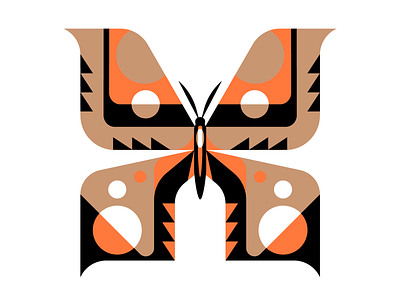 🦋 butterfly nature