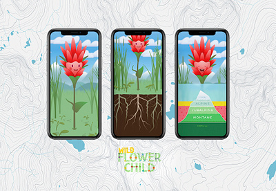 Cas our Red Paintbrush brand branding conservation content creative direction design draw educate flower specimens hike hike and draw identity illustrate illustration kids who explore navigation thewayfindercompany trail kids wild flowers wildflower child