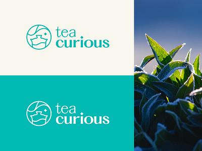 Tea Curious - Friendly Tea Education Brand blue brand brand identity brew drink education icon identity logo logomark logotype mark nevada small business tea tea cup tea leaf tea logo teal typography