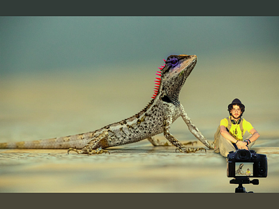 Me & Mr Lizard graphic design photoshop