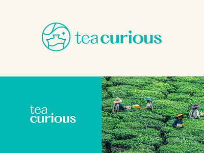 Tea Curious - Friendly Tea Education Brand blue brand brand identity drink education gaiwan icon identity logo logomark mark small business taiwan tea tea cup tea leaf tea logo tea pot teal water