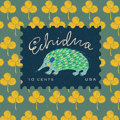 Echidna Illustration alphabet animal australian fauna childrens illustration cute digital art echidna procreate illustration stamps stickers strawberry leaves