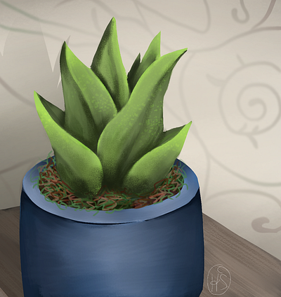 Succulent 2d digital art digital painting illustration nature plant still life