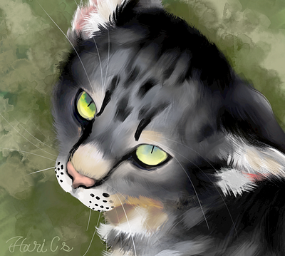 Toby my beloved 2d cat digital art digital painting illustration pet pet portrait portrait