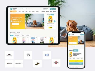 Доктор Холли animals design figma home page icons minimal typography ui ux web website