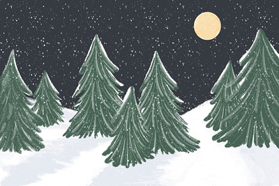 Snowy Valley Winter artist design graphic design illustration illustrations illustrator landscape snow winter scape