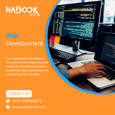 Website Design & Development Services