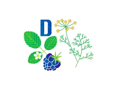 D for dewberry and dill abc alphabet art children childrenillustration design dewberry dill flat graphic design illustration kids minimal vector