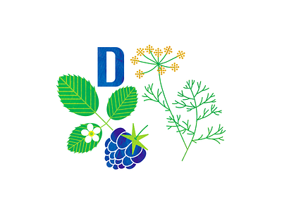 D for dewberry and dill abc alphabet art children childrenillustration design dewberry dill flat graphic design illustration kids minimal vector
