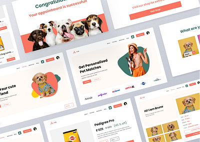 PetX Responsive WebDesign landing page minimal pet adoption pet appointment pet food petx ui uiux ux web design