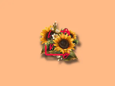 Sunflower design graphic design illustration logo vector