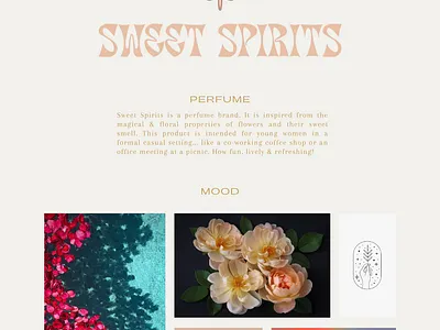 Perfume Brand Identity app branding design graphic design icon illustration logo vector