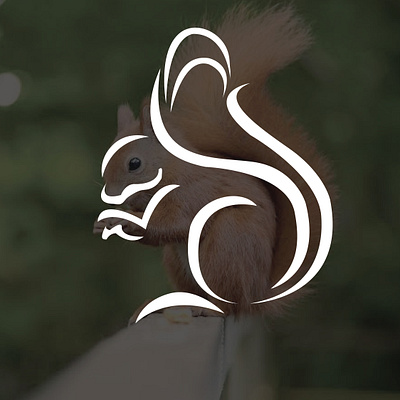 Squirrel Logo 3d branding graphic design logo motion graphics