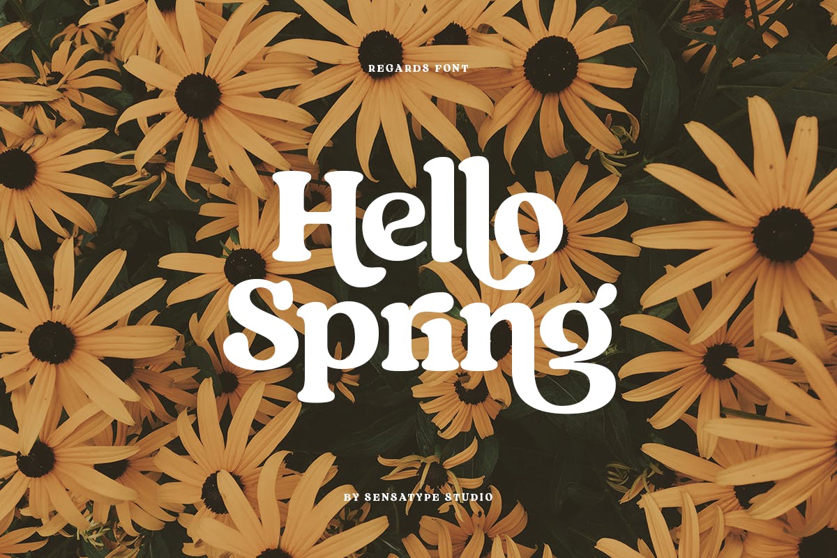 Regards Display Font app branding design display display font font graphic design illustration logo serif typography ui ux vector