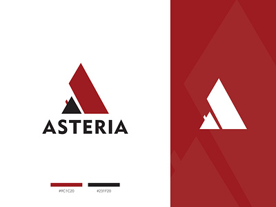 LOGO_Asteria black colors design font house logo real estate rectangular red roof triangle versions white