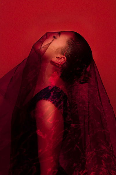 The Veil #2