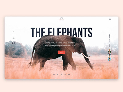 Website design concept Save Nature animal design figma landing page natura save ui web website