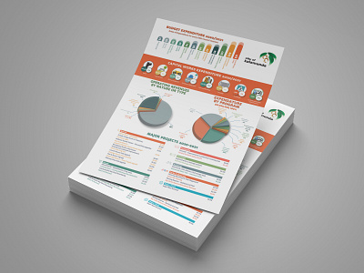 Leaflet Design - Budget & Chart brochure design illustration leaflet ui ux