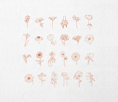 Flower Illustration botanical template card decor source clipart file eps etsy flower graphic design hand drawn art handmade illustration line drawing nature pdf plant png procreate art vector