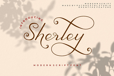 Sherley - Modern Elegant Script Font beautiful font branding font calligraphy font cursive font display font elegant font fashion font invitation font lettering font logo font lovely font luxury font modern calligraphy modern font romantic font script font stylish font typeface font website font wedding font