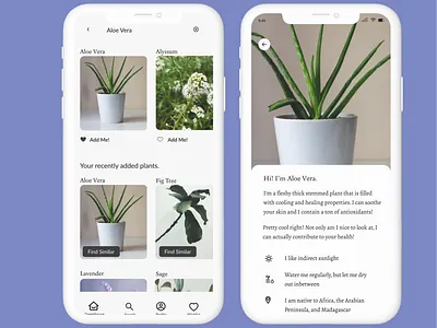 Search + Info ui ux