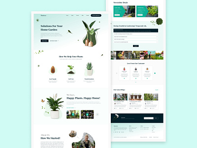 Plantnear plant website uiux website