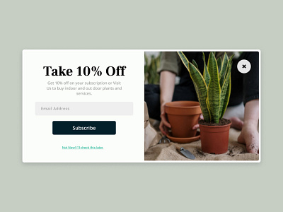 Plantnear-Promotion Banner banner ui design website popup