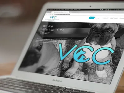 Website Design/Branding branding graphic design logo ui