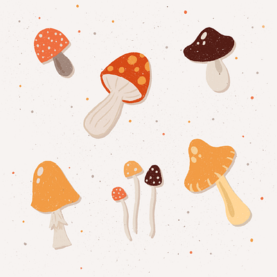 Mushrooms illustration