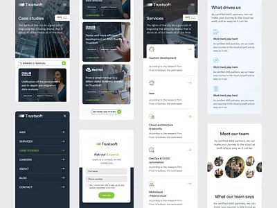 Trustsoft — Responsive Website brand identity branding design logo pattern ui vector web design website