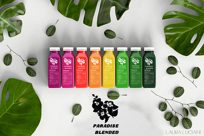 BRANDING: PARADISE BLENDED - SMOOTHIE BRAND brand design branding corporate identity design graphic design logo packaging